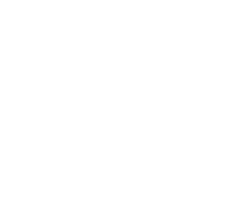 FR Skates